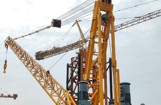 Derrick Crane Services India